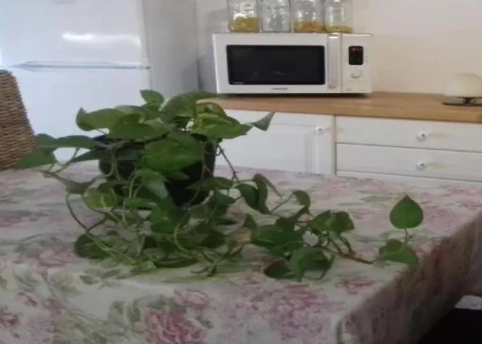 Affittacamere La Roseraie