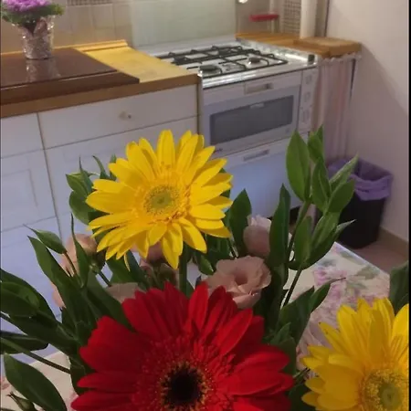 La Roseraie Casa de hóspedes *