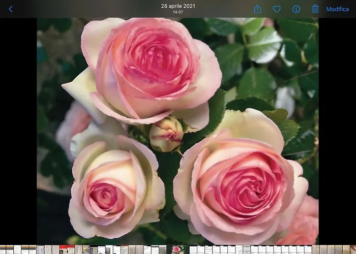 La Roseraie Casa de hóspedes Battipaglia